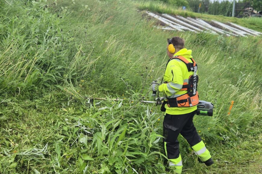 Mies raivaa nurmikkoa raivaussahalla